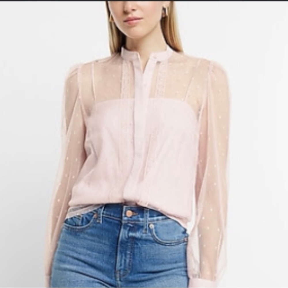 Express Light Pink Sheer Blouse